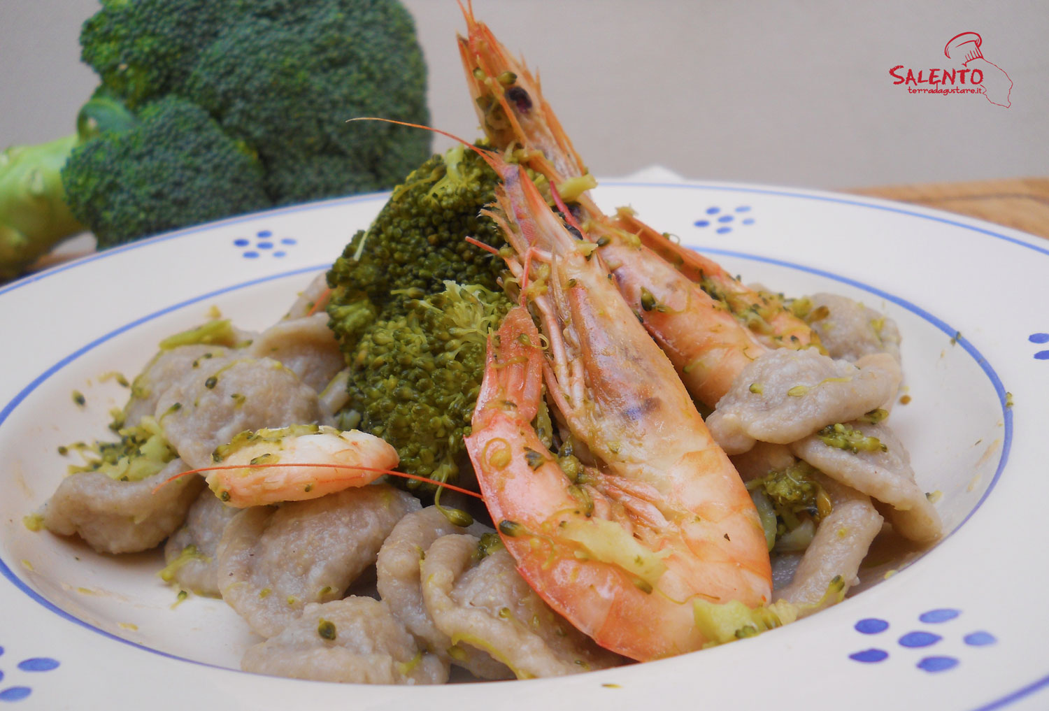 orecchiette di orzo con broccoli e gamberetti - Salento ...